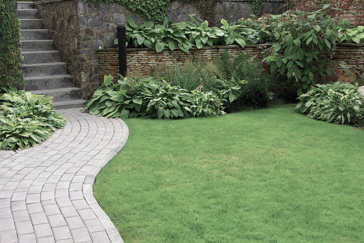 Welcome to South West Landscaping